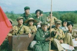 童星最新动态爆料,揭秘成长背后的心酸历程